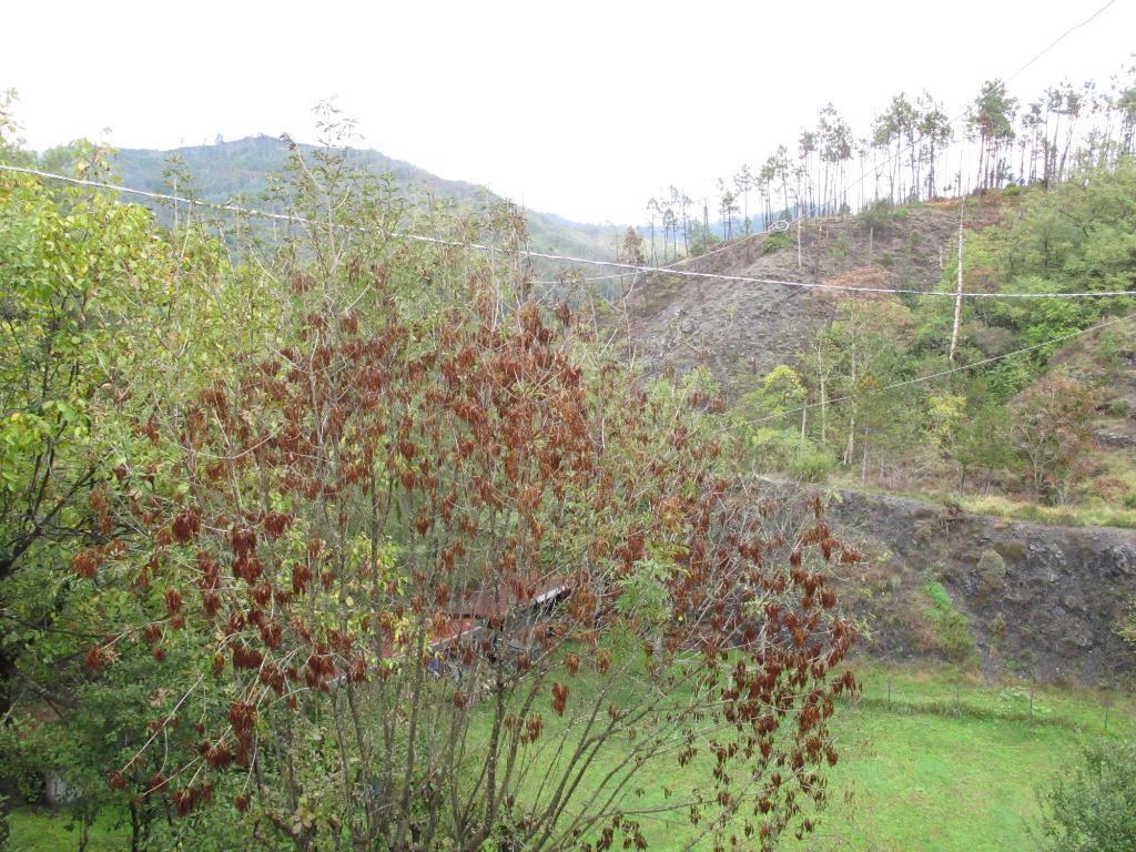 La Bordigona Acomodação com café da manhã Carrodano Inferiore Exterior foto